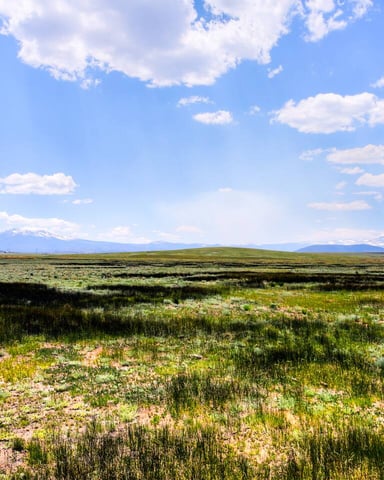 Vast high-altitude meadow with wildflowers, distant snow-capped mountains, and blue sky with white clouds