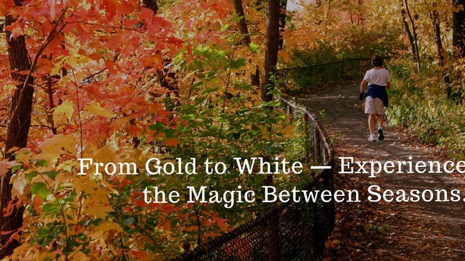 From Gold to White - Experience the Magic Between Seasons at the Colorado Rockies
